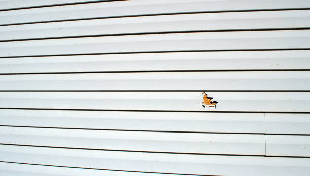 Trusted Lancaster, CA Siding Installation & Repair Experts